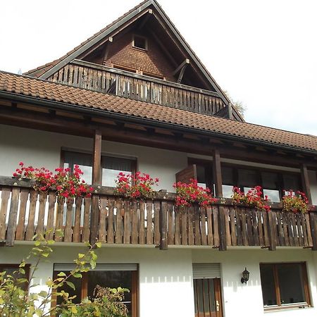 Pension Bergseeblick Titisee-Neustadt Exterior photo