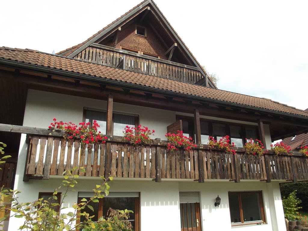Pension Bergseeblick Titisee-Neustadt Exterior photo